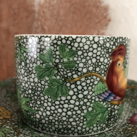 The Haldon Group Parakeet Cup and Saucer Excellent Condition Retired - Picture 3 of 6